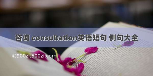 咨询 consultation英语短句 例句大全