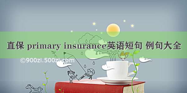 直保 primary insurance英语短句 例句大全