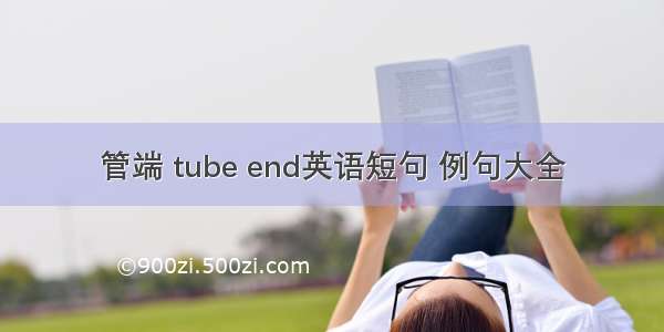 管端 tube end英语短句 例句大全