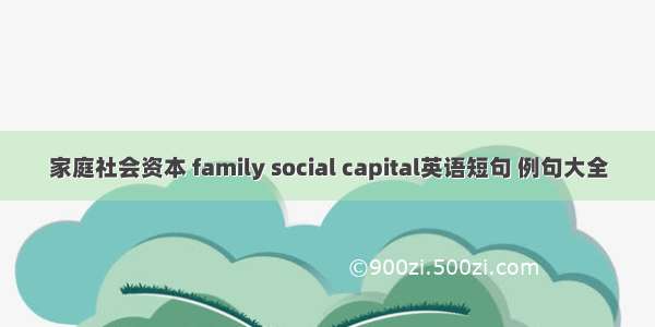 家庭社会资本 family social capital英语短句 例句大全