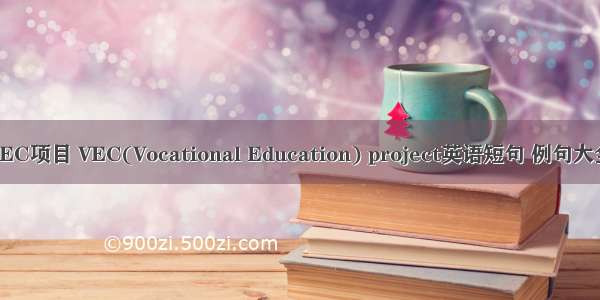 VEC项目 VEC(Vocational Education) project英语短句 例句大全