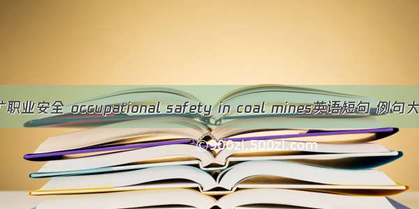 煤矿职业安全 occupational safety in coal mines英语短句 例句大全