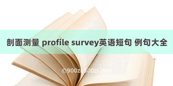 剖面测量 profile survey英语短句 例句大全
