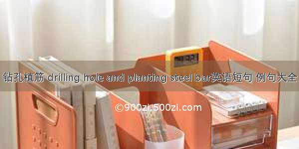 钻孔植筋 drilling hole and planting steel bar英语短句 例句大全