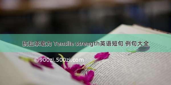 抗拉承载力 Tensile strength英语短句 例句大全