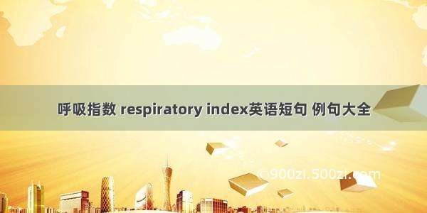 呼吸指数 respiratory index英语短句 例句大全