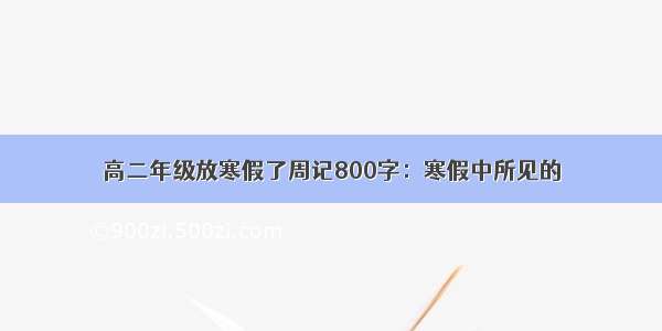 高二年级放寒假了周记800字：寒假中所见的