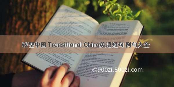 转型中国 Transitional China英语短句 例句大全