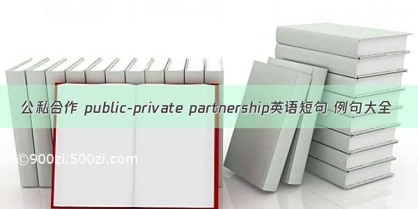 公私合作 public-private partnership英语短句 例句大全