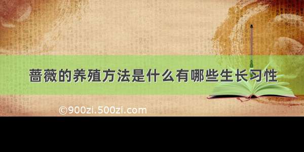 蔷薇的养殖方法是什么有哪些生长习性