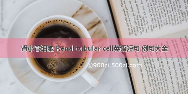 肾小管细胞 Renal tubular cell英语短句 例句大全