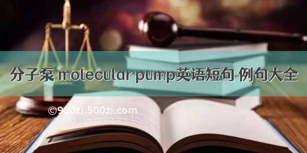 分子泵 molecular pump英语短句 例句大全