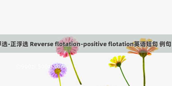 反浮选-正浮选 Reverse flotation-positive flotation英语短句 例句大全