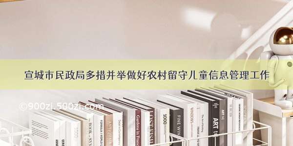 宣城市民政局多措并举做好农村留守儿童信息管理工作