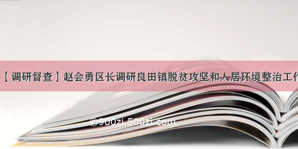 【调研督查】赵会勇区长调研良田镇脱贫攻坚和人居环境整治工作