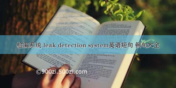 检漏系统 leak detection system英语短句 例句大全