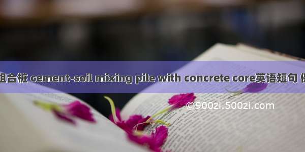 水泥土组合桩 cement-soil mixing pile with concrete core英语短句 例句大全
