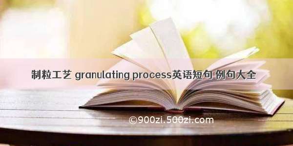 制粒工艺 granulating process英语短句 例句大全