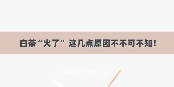 白茶“火了” 这几点原因不不可不知！