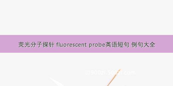 荧光分子探针 fluorescent probe英语短句 例句大全