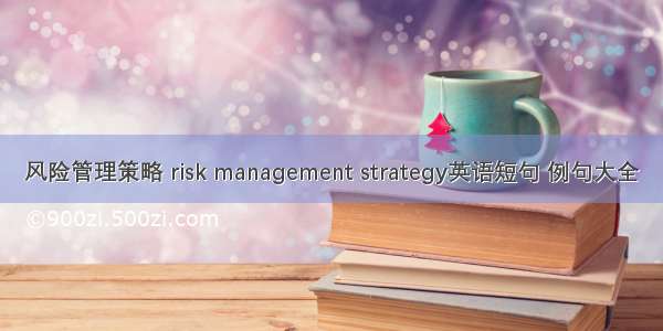 风险管理策略 risk management strategy英语短句 例句大全