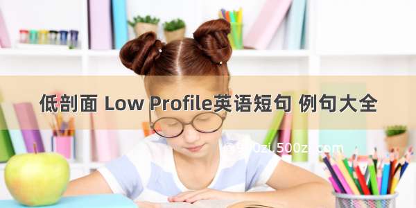 低剖面 Low Profile英语短句 例句大全