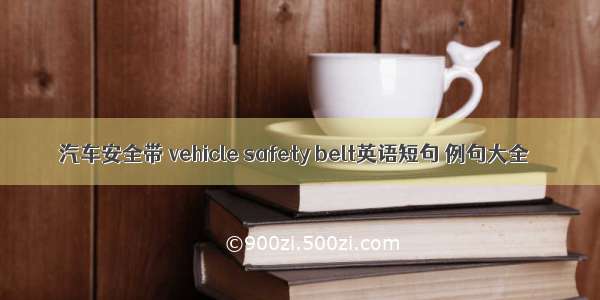 汽车安全带 vehicle safety belt英语短句 例句大全