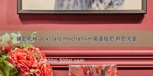 辅助机构 auxiliary mechanism英语短句 例句大全