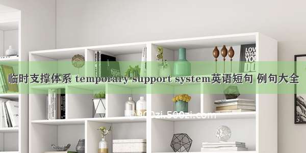 临时支撑体系 temporary support system英语短句 例句大全