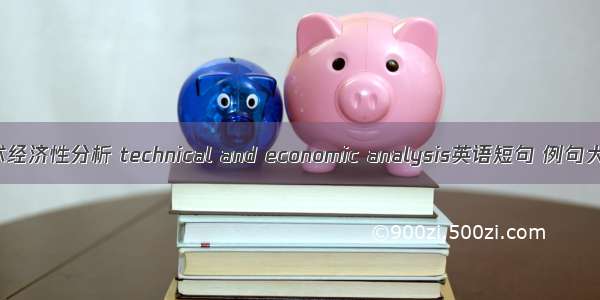 技术经济性分析 technical and economic analysis英语短句 例句大全