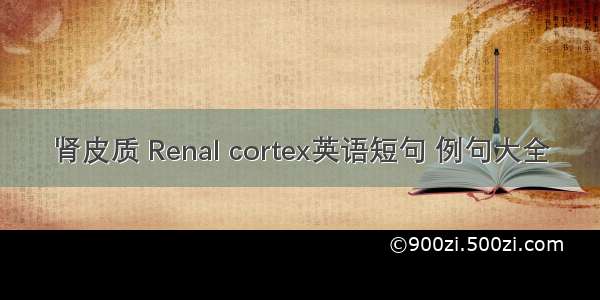 肾皮质 Renal cortex英语短句 例句大全