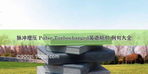 脉冲增压 Pulse Turbocharged英语短句 例句大全