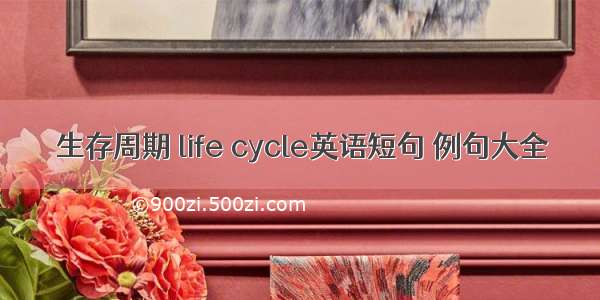 生存周期 life cycle英语短句 例句大全