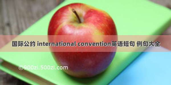 国际公约 international convention英语短句 例句大全