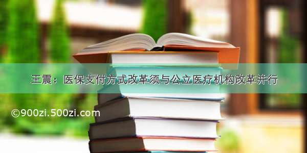 王震：医保支付方式改革须与公立医疗机构改革并行