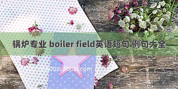 锅炉专业 boiler field英语短句 例句大全