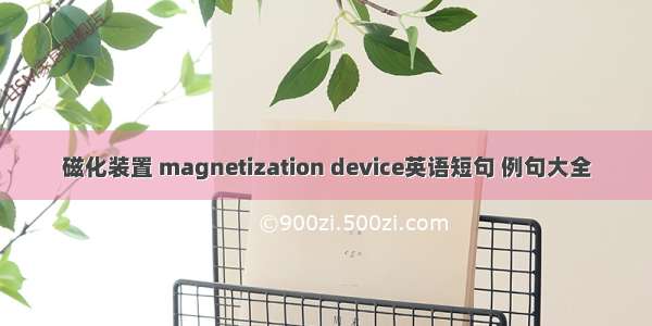 磁化装置 magnetization device英语短句 例句大全