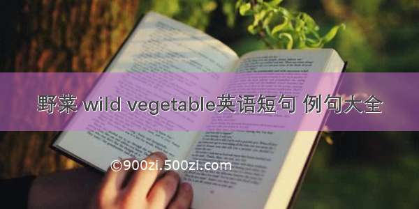 野菜 wild vegetable英语短句 例句大全