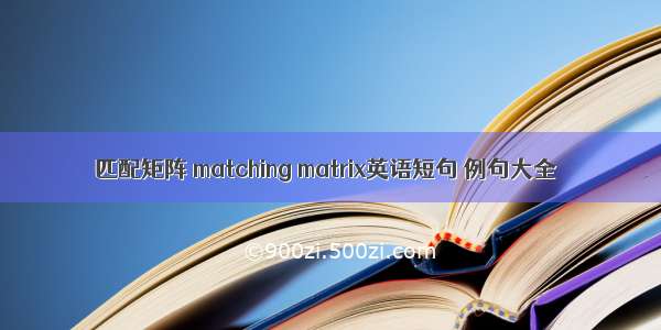 匹配矩阵 matching matrix英语短句 例句大全