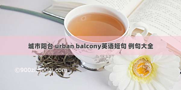 城市阳台 urban balcony英语短句 例句大全