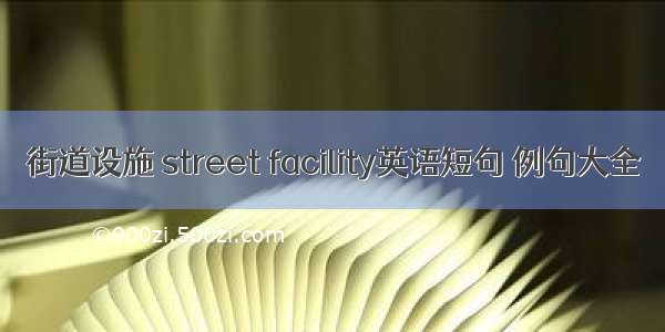 街道设施 street facility英语短句 例句大全