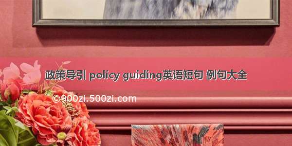 政策导引 policy guiding英语短句 例句大全