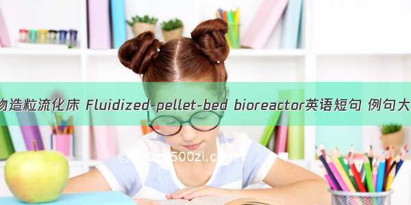 生物造粒流化床 Fluidized-pellet-bed bioreactor英语短句 例句大全