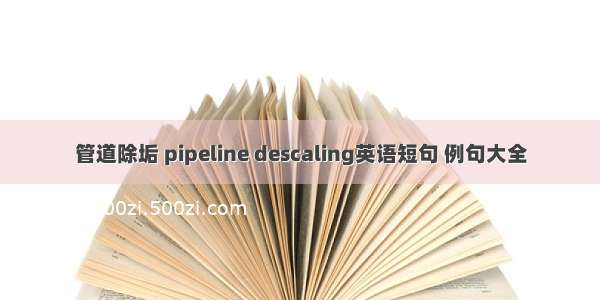 管道除垢 pipeline descaling英语短句 例句大全