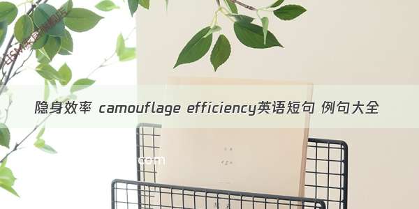 隐身效率 camouflage efficiency英语短句 例句大全