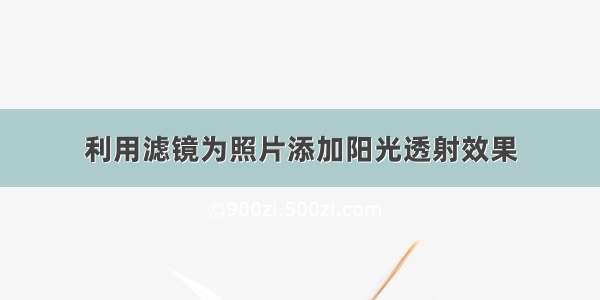 利用滤镜为照片添加阳光透射效果