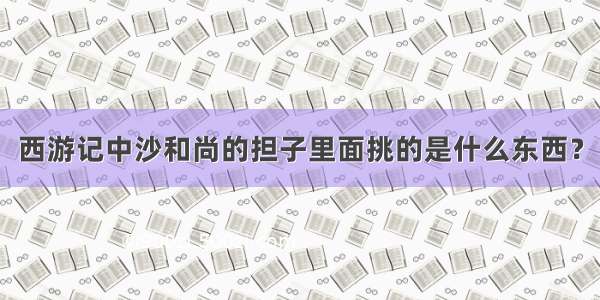 西游记中沙和尚的担子里面挑的是什么东西？