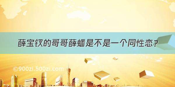 薛宝钗的哥哥薛蟠是不是一个同性恋？