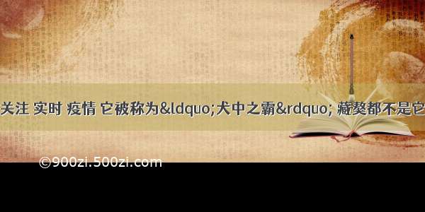 刷新 翻看 我 关注 实时 疫情 它被称为“犬中之霸” 藏獒都不是它的对手 却成