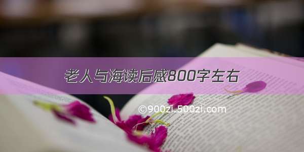 老人与海读后感800字左右